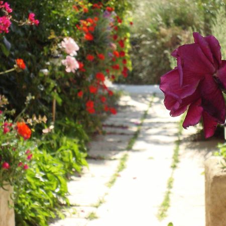 Creta Sun Hotel Studios Agia Pelagia  Bagian luar foto