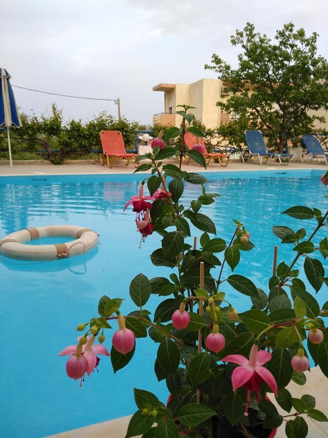 Creta Sun Hotel Studios Agia Pelagia  Bagian luar foto