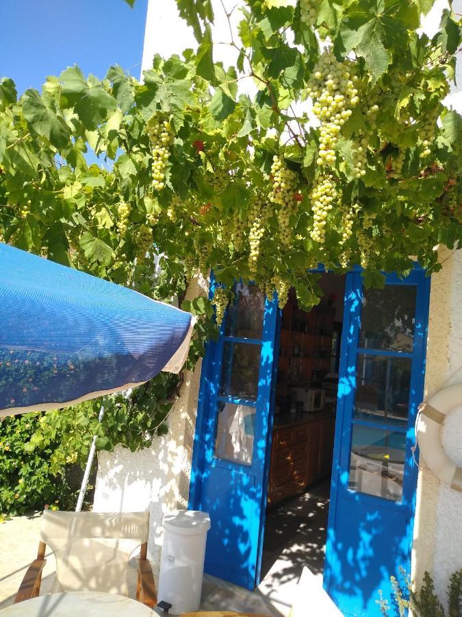 Creta Sun Hotel Studios Agia Pelagia  Bagian luar foto