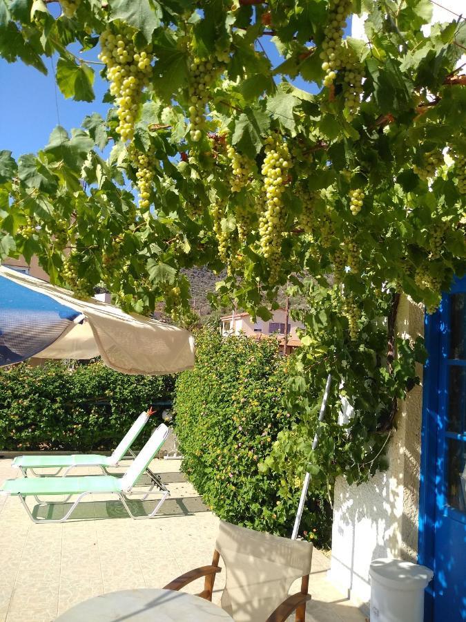 Creta Sun Hotel Studios Agia Pelagia  Bagian luar foto